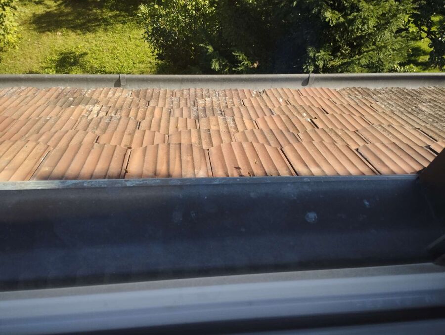 Bee nest at the house remove