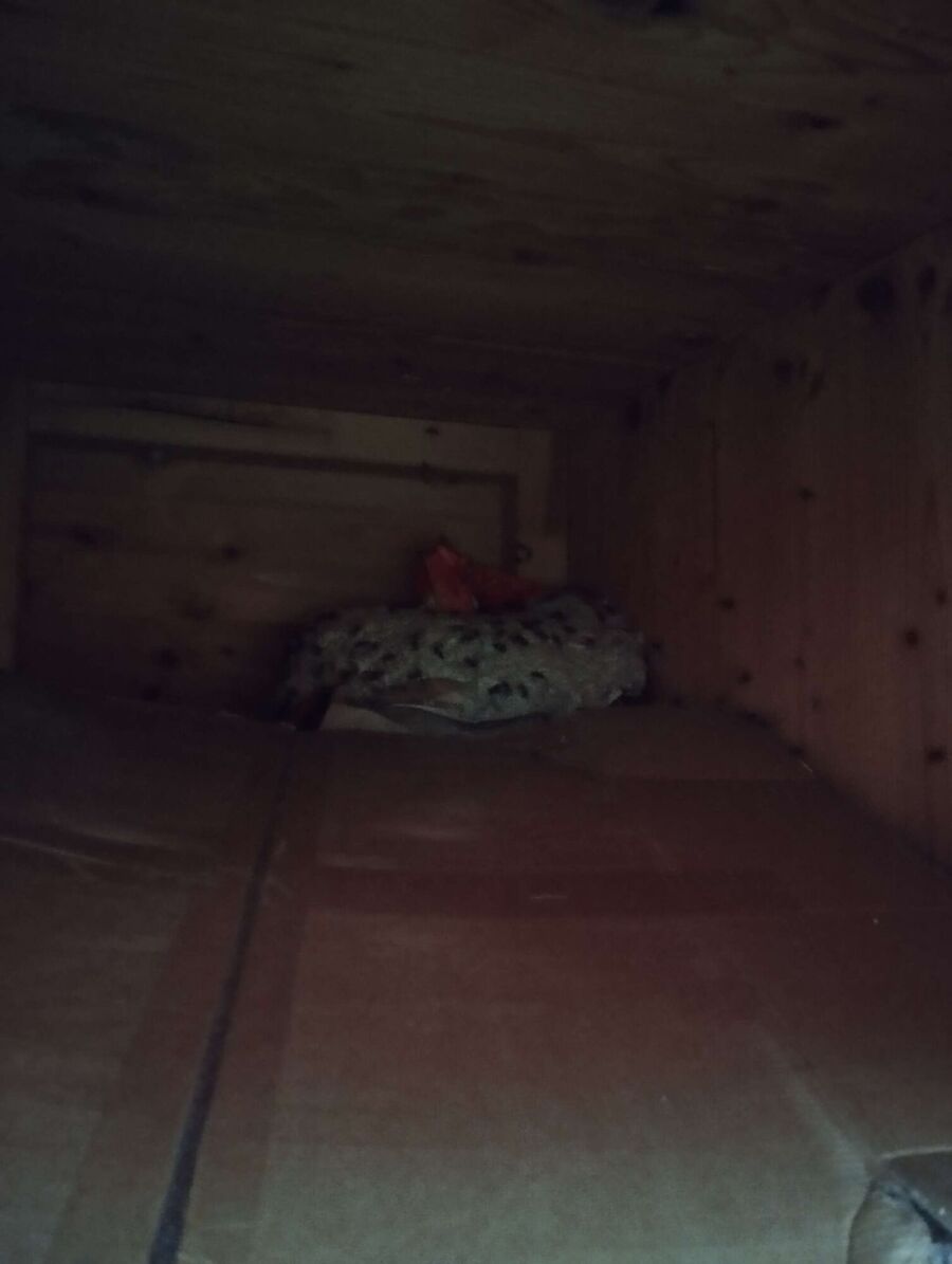 Bee nest at the house remove