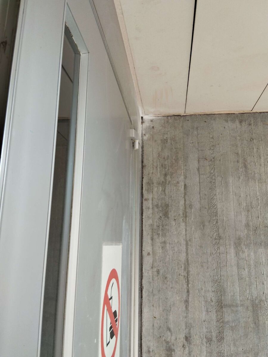 Relocate bees & remove bee nest