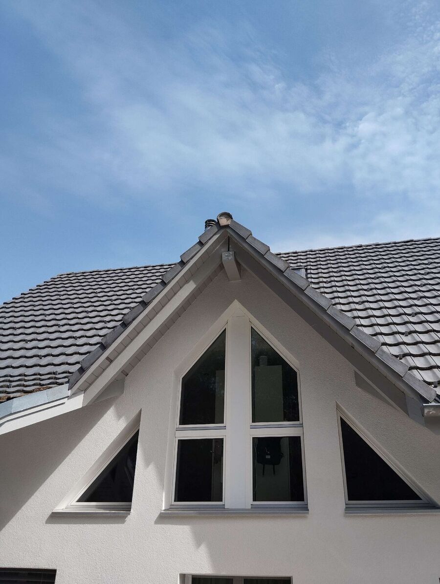 Bee nest at the house remove