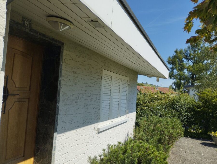 Bee nest at the house remove