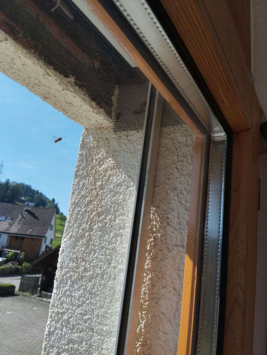 Bee nest at the house remove