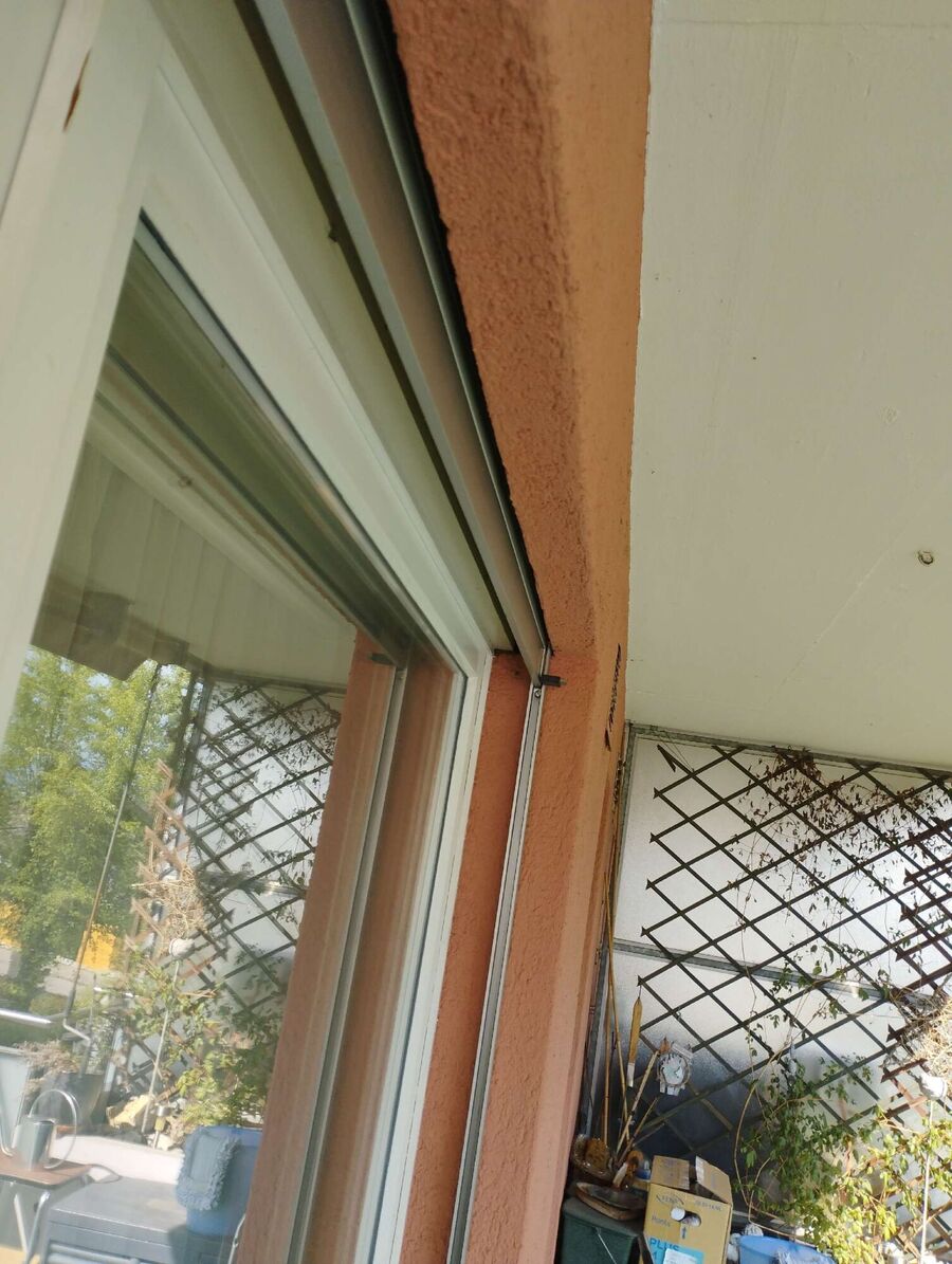 Bee nest at the house remove