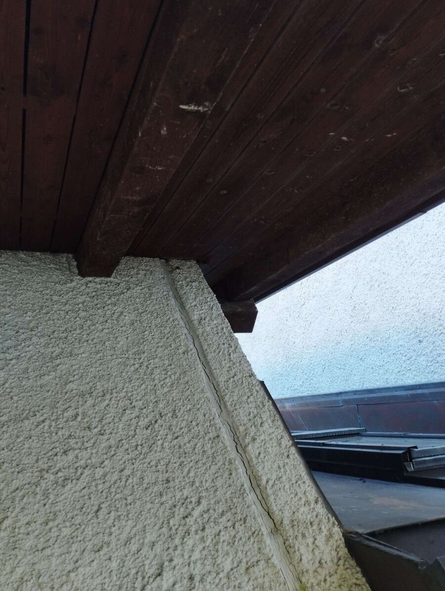 Relocate bees & remove bee nest