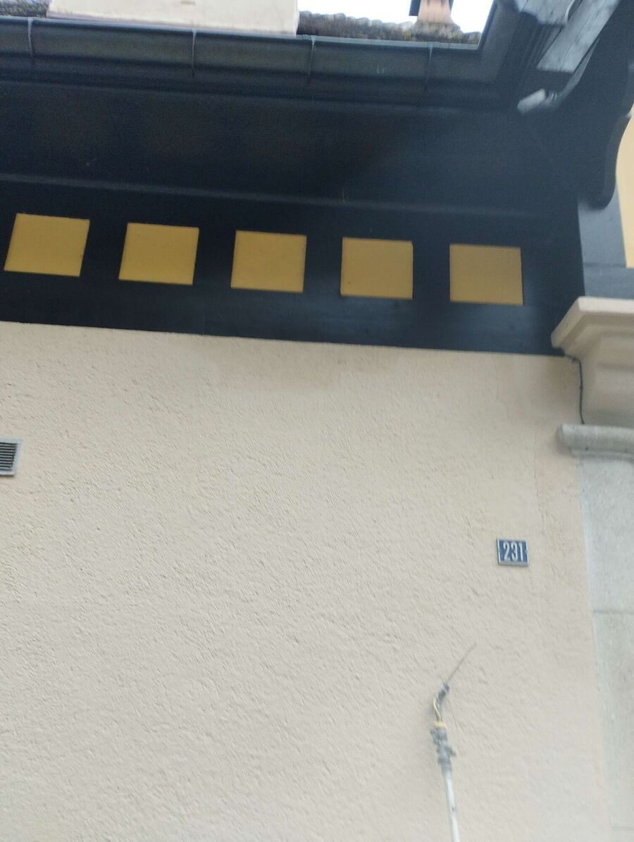 Bee nest at the house remove