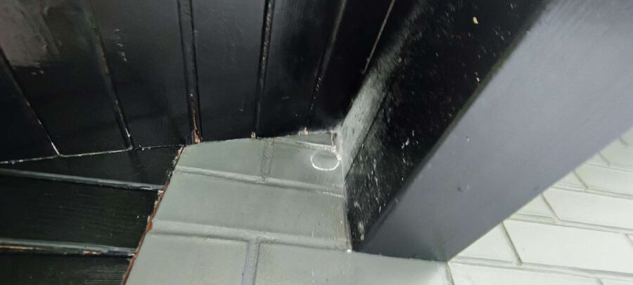 Relocate bees & remove bee nest