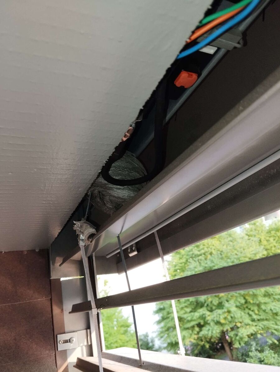 Bee nest at the house remove