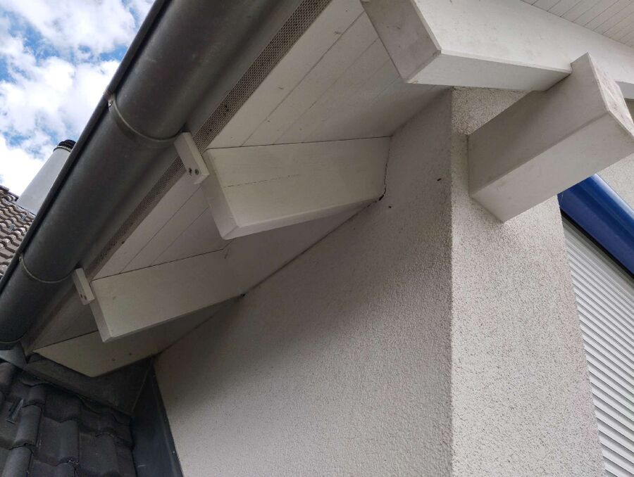 Bee nest at the house remove