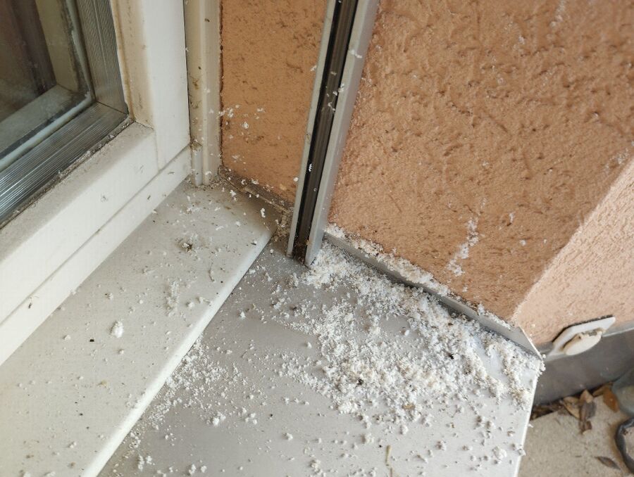 Bee nest at the house remove