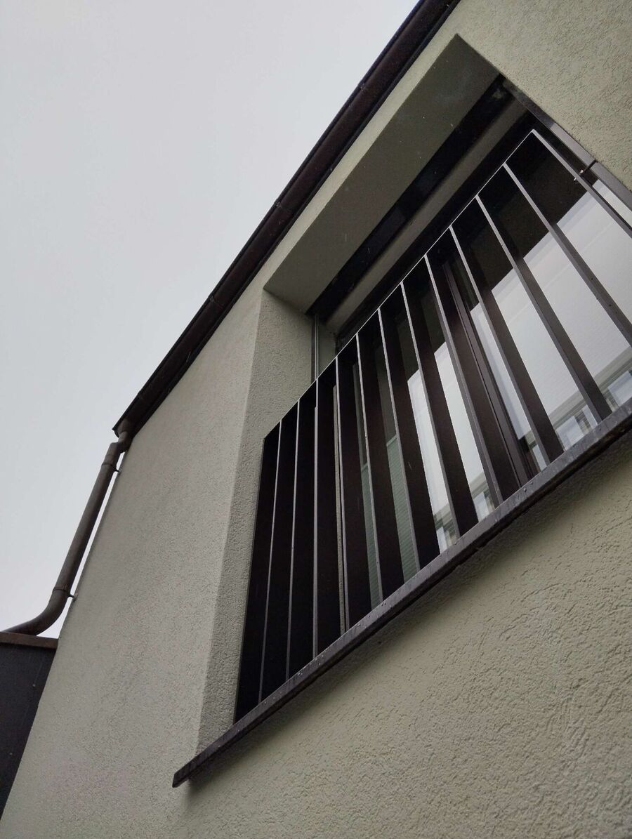 Relocate bees & remove bee nest