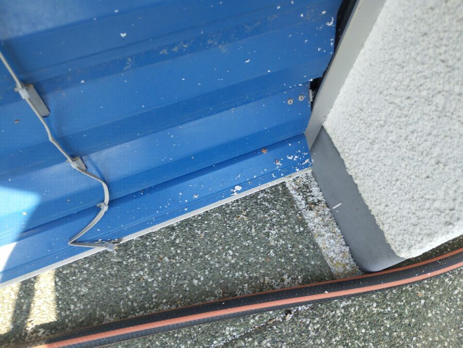 Bee nest at the house remove