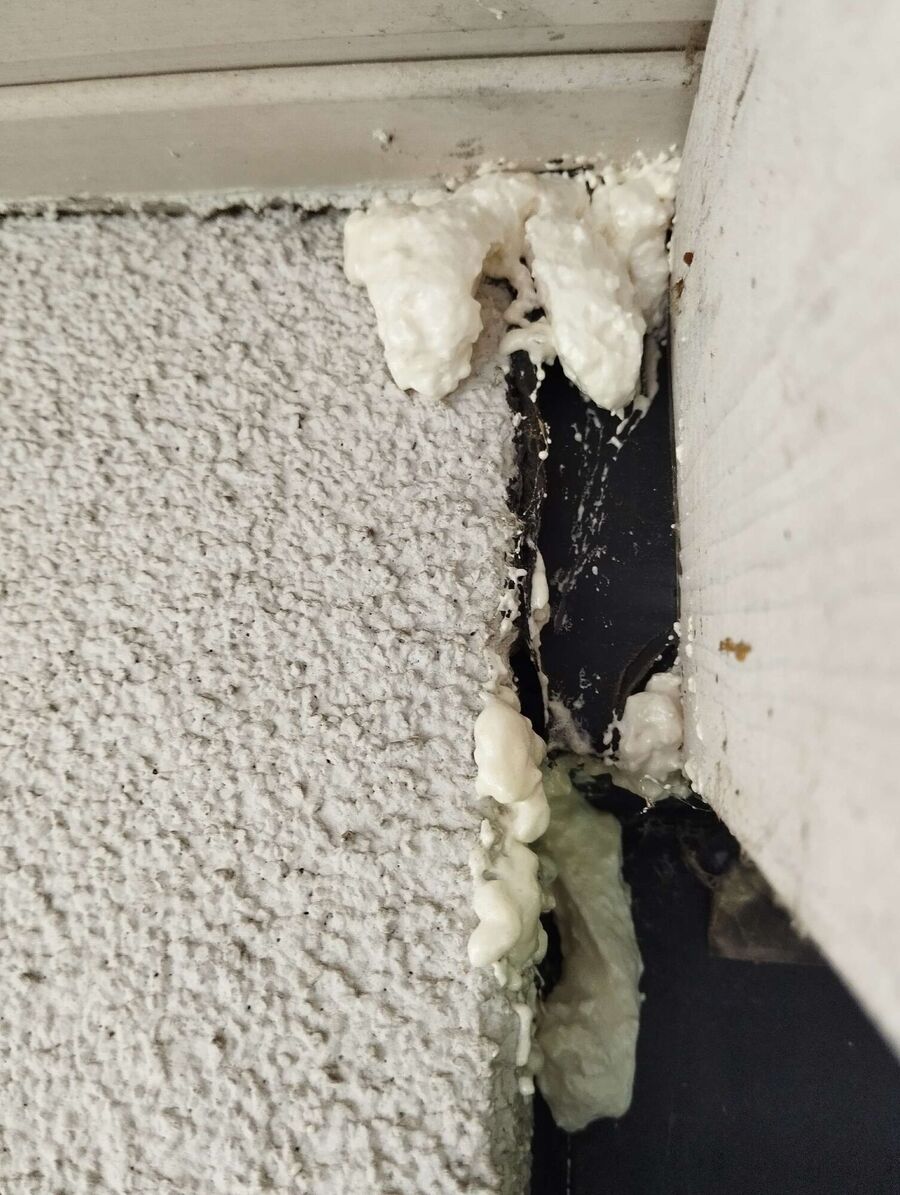 Bee nest at the house remove