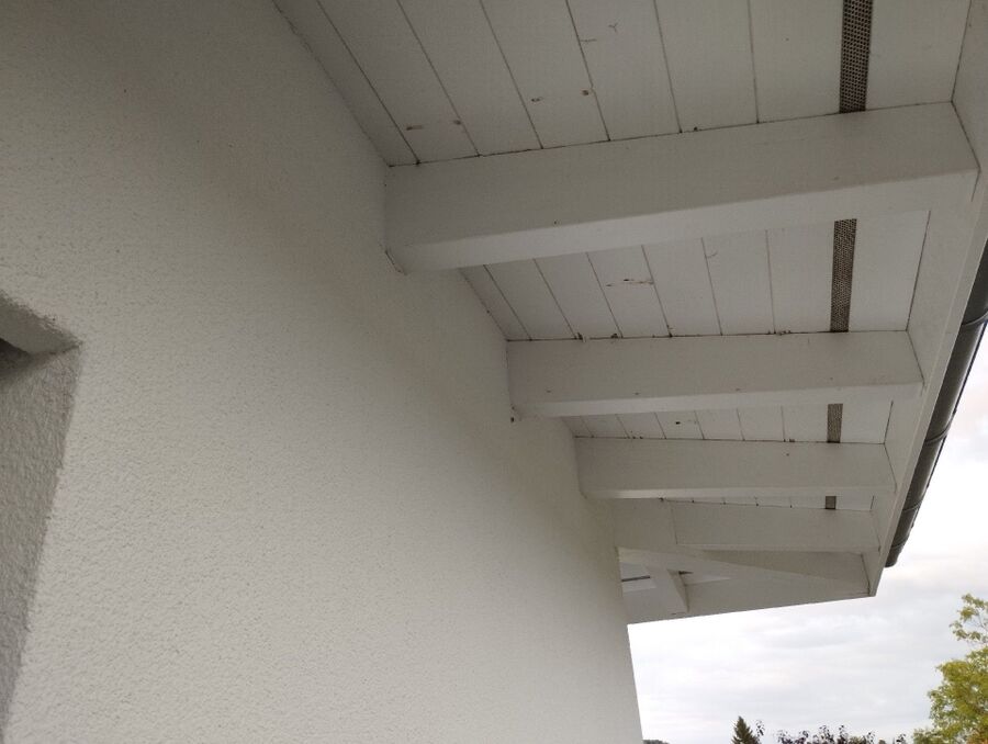 Bee nest at the house remove