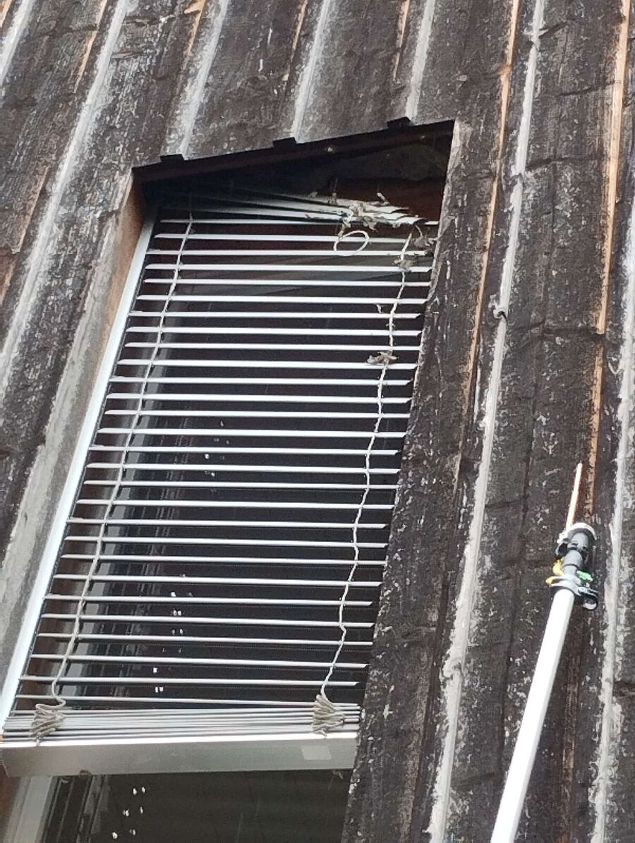 Bee nest at the house remove