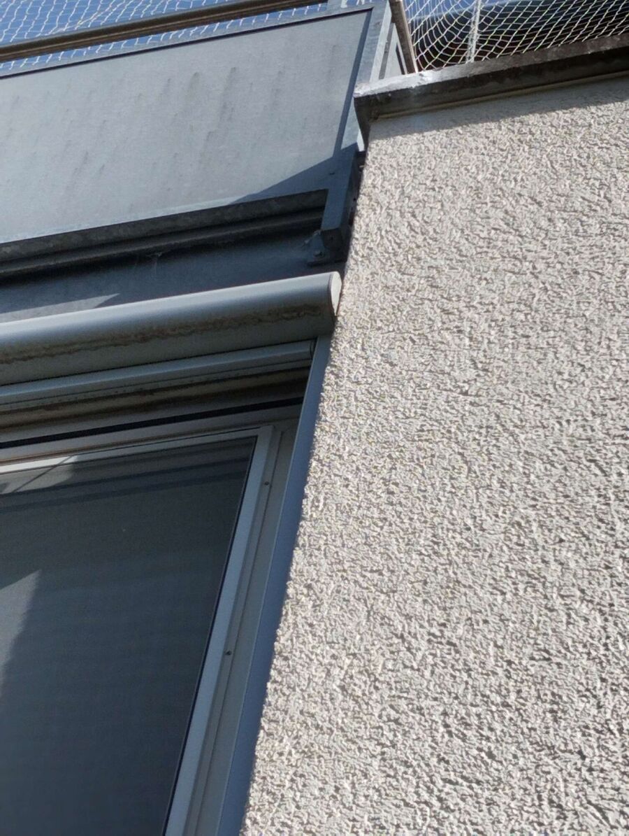 Bee nest at the house remove