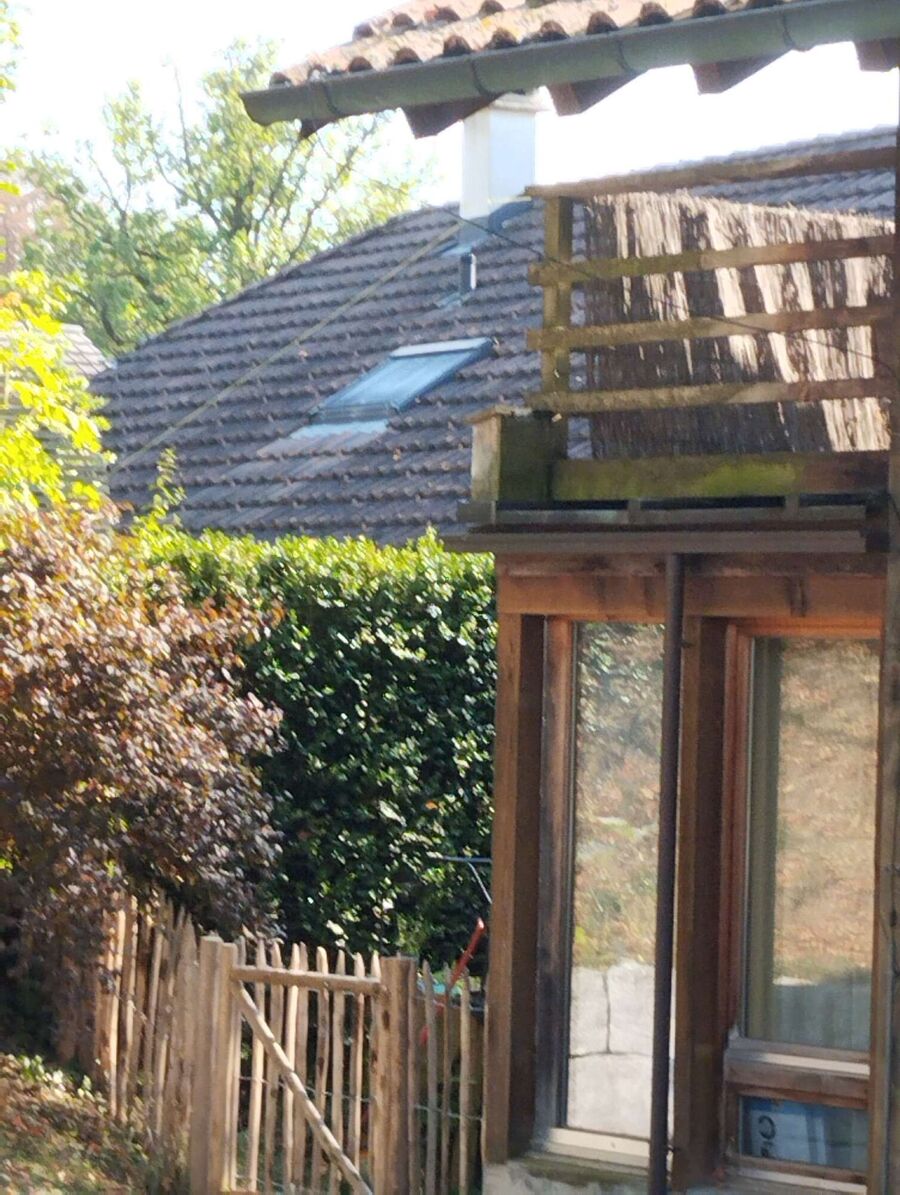 Bee nest at the house remove