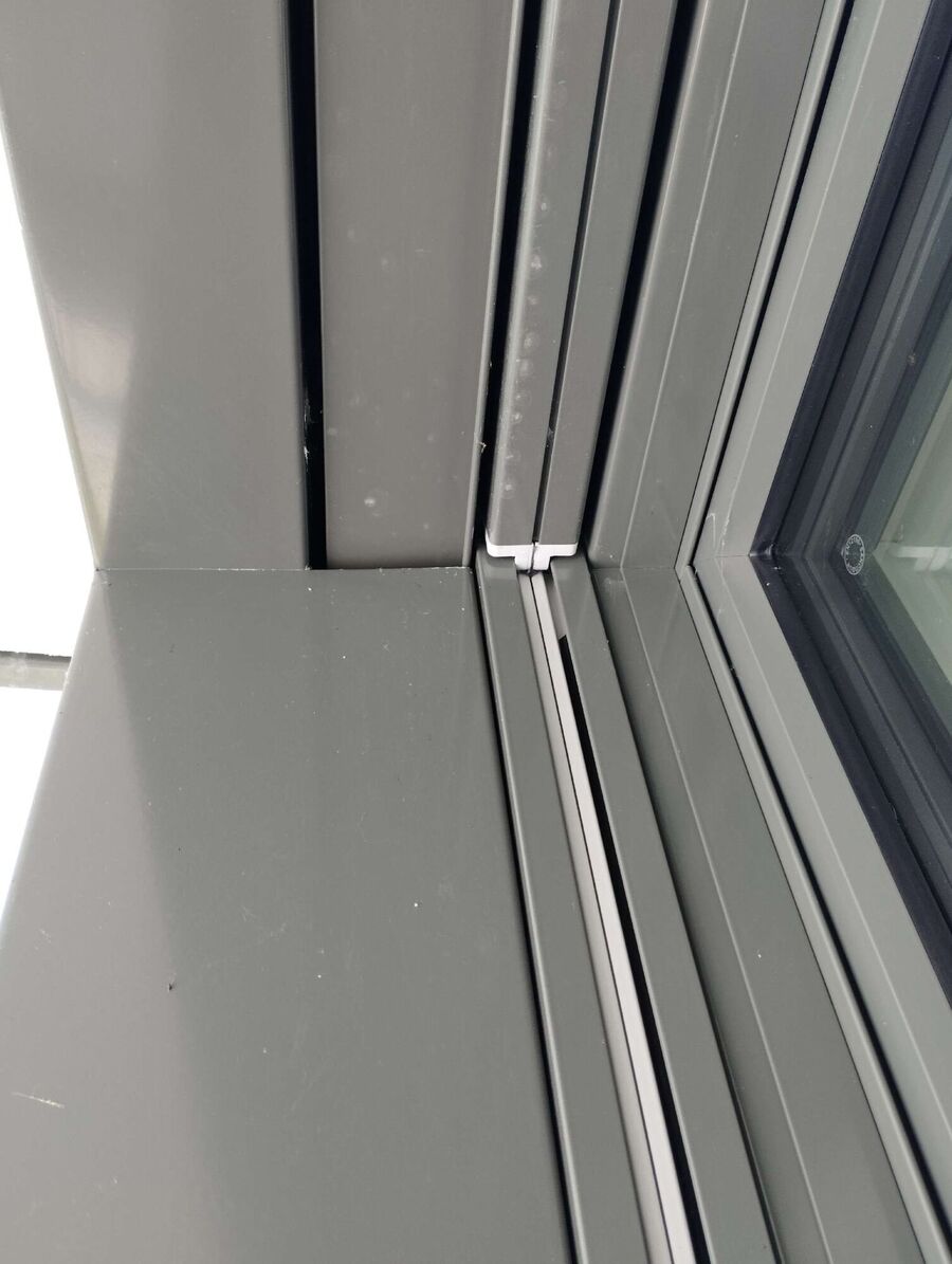 Relocate bees & remove bee nest