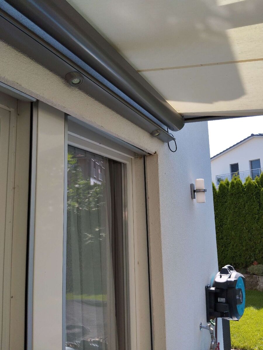 Bee nest at the house remove