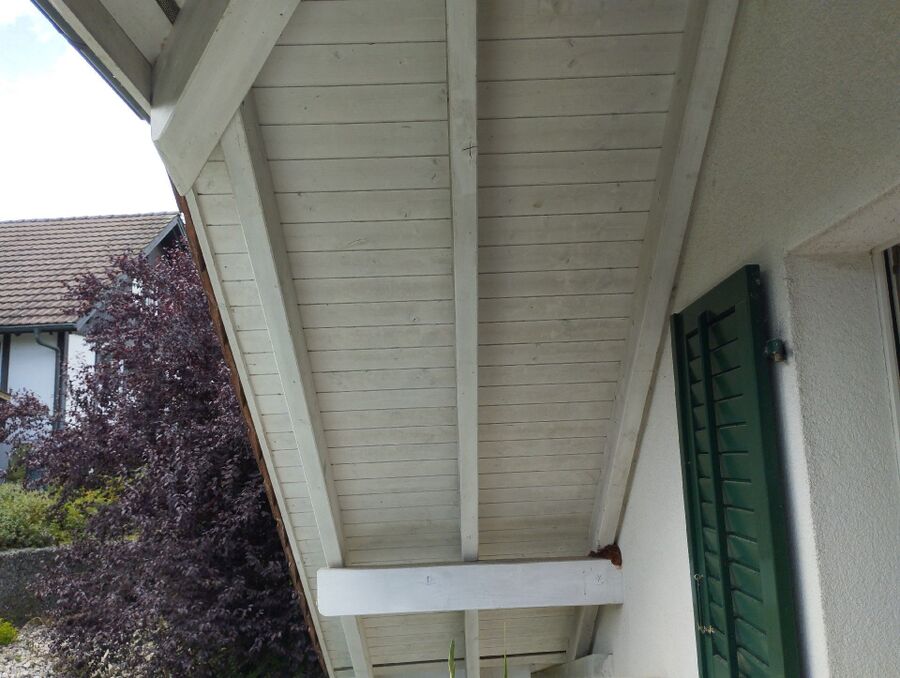 Bee nest at the house remove