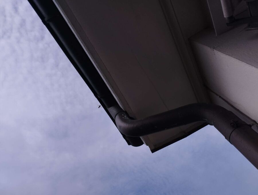 Bee nest at the house remove