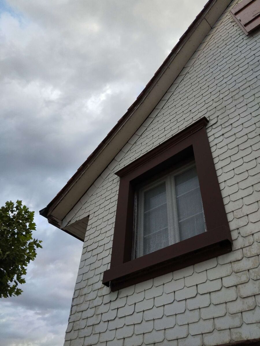 Bee nest at the house remove