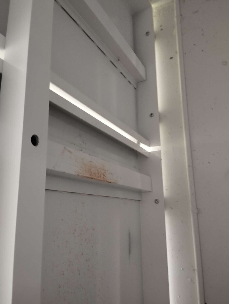 Bee nest at the house remove