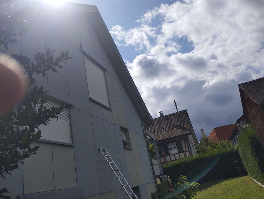 Relocate bees & remove bee nest