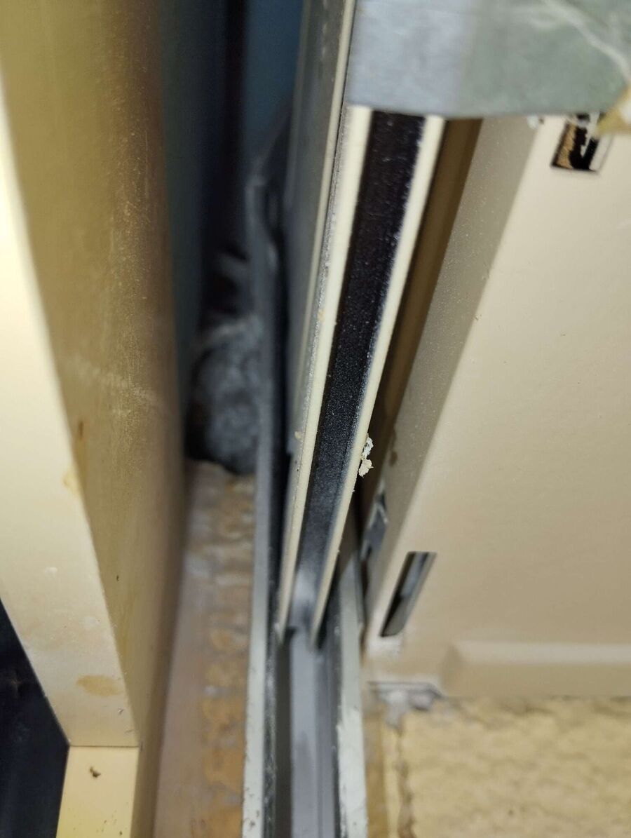 Bee nest at the house remove