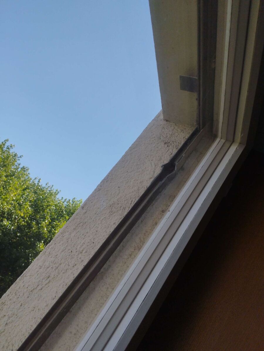 Bee nest at the house remove