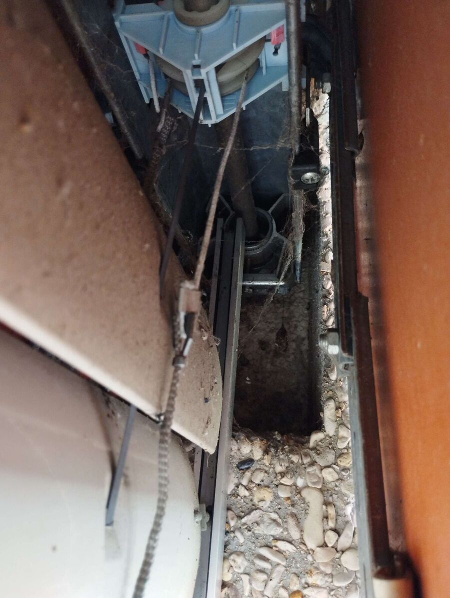 Relocate bees & remove bee nest