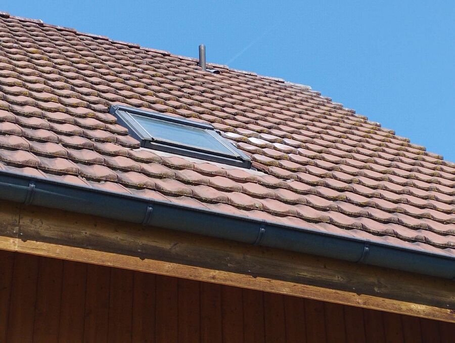 Bee nest at the house remove