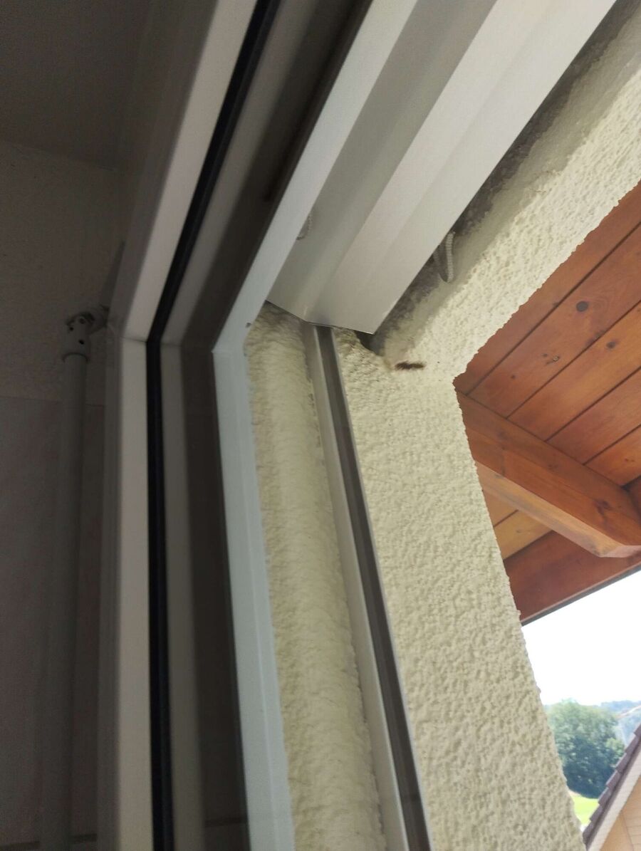 Bee nest at the house remove