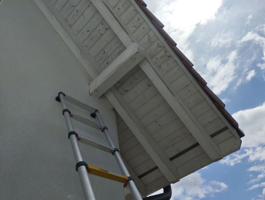 Bee nest at the house remove