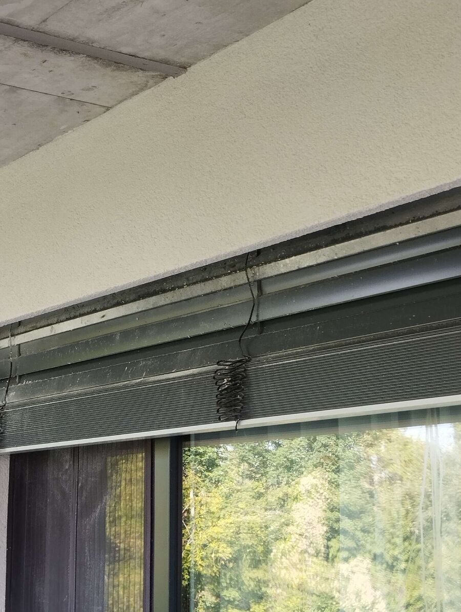 Bee nest at the house remove