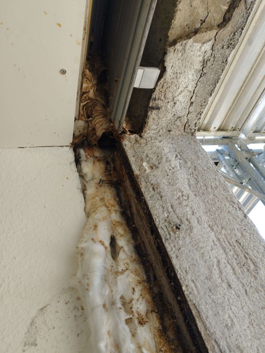 Bee nest at the house remove