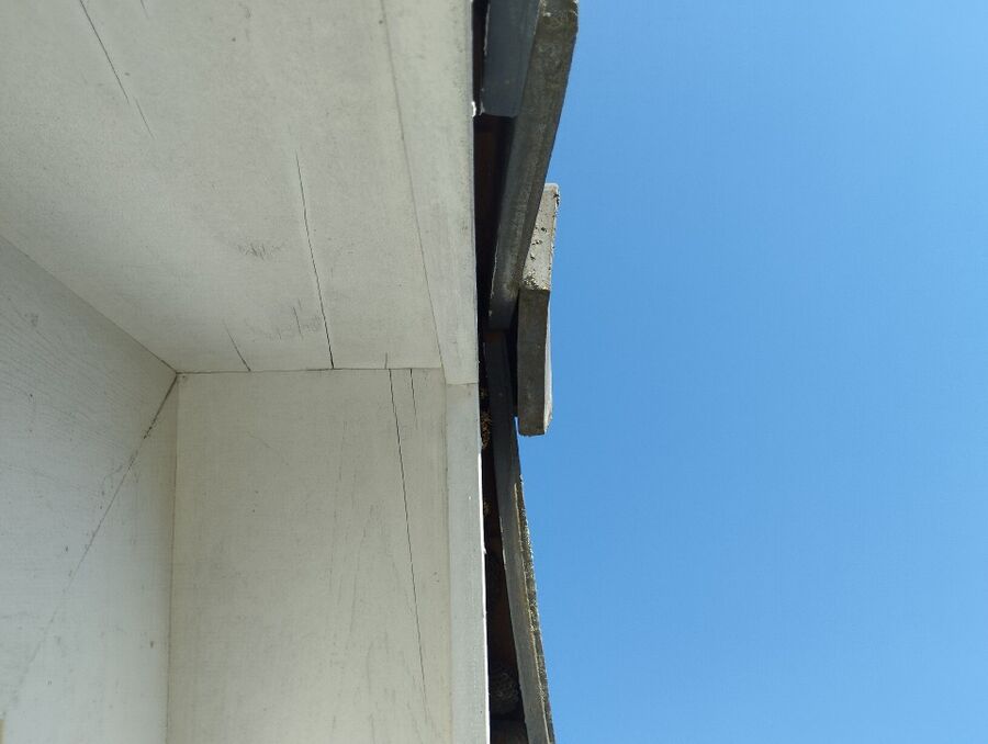 Bee nest at the house remove