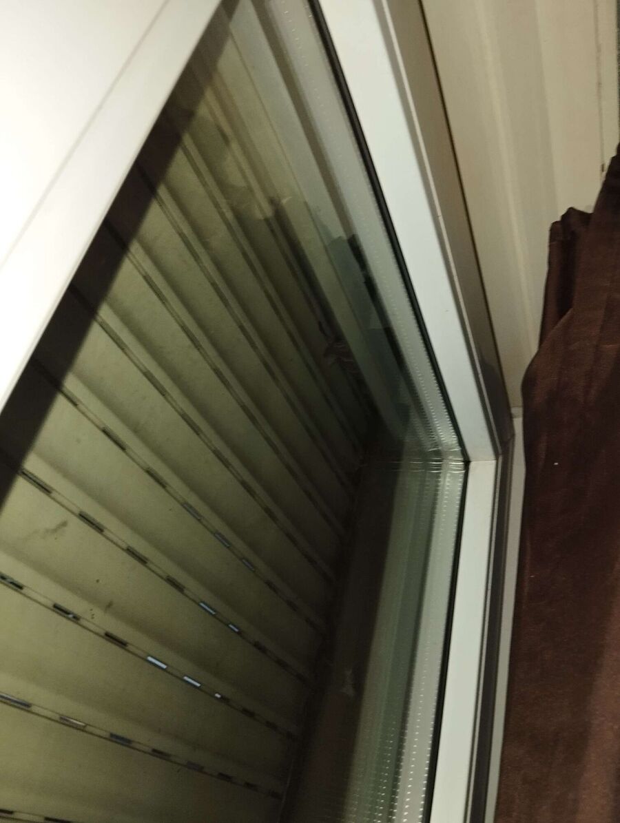 Bee nest at the house remove