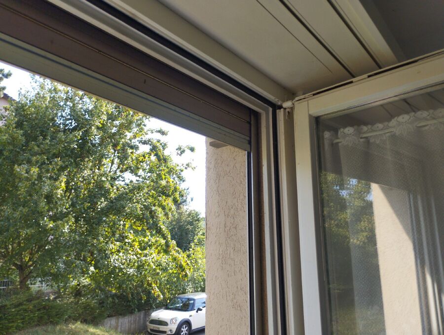 Relocate bees & remove bee nest