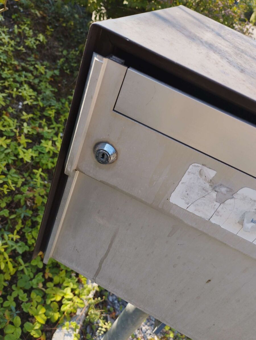 Relocate bees & remove bee nest