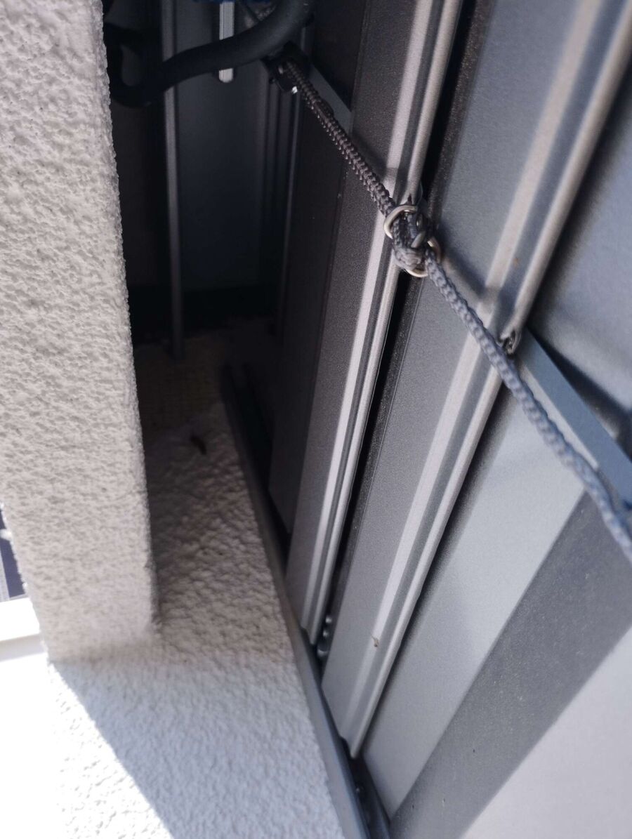 Relocate bees & remove bee nest