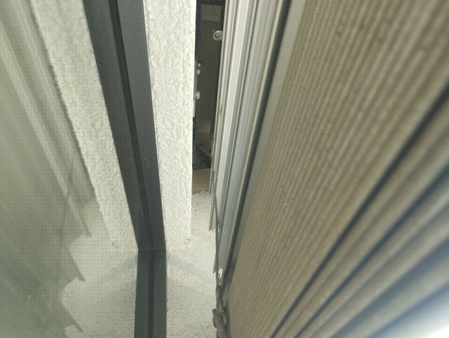 Relocate bees & remove bee nest