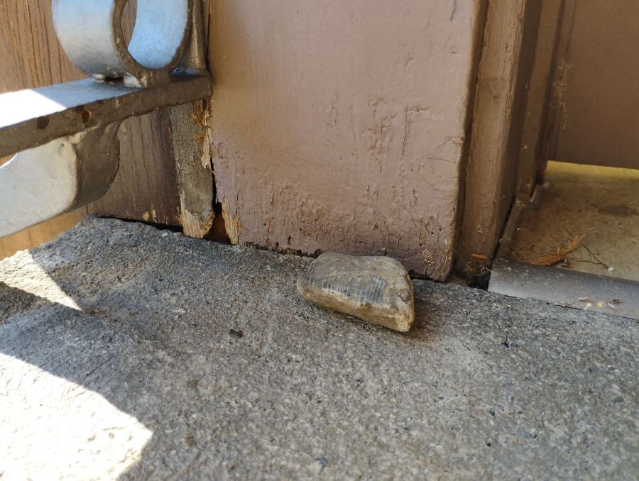 Bee nest at the house remove