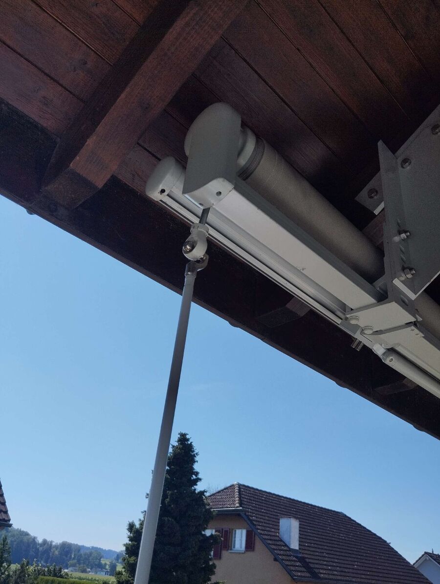 Bee nest at the house remove