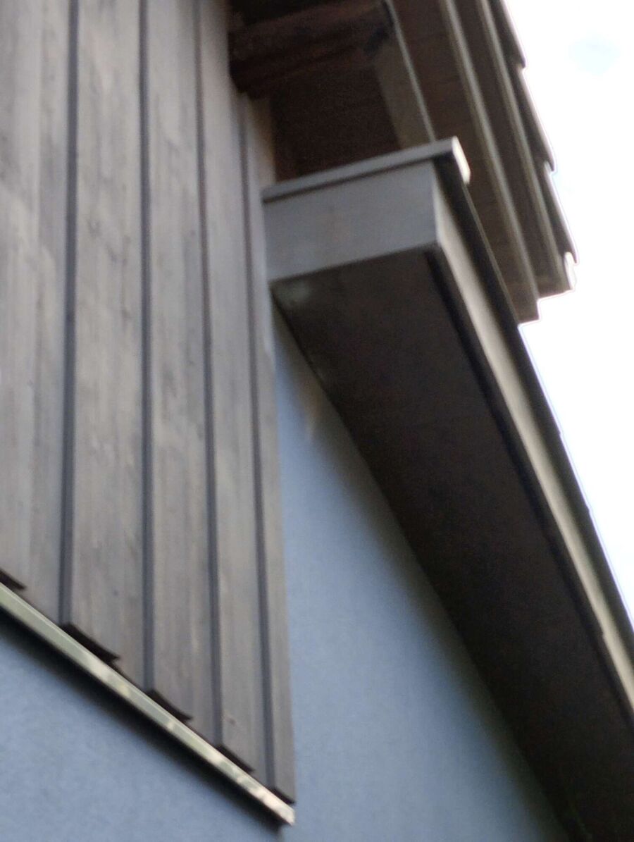 Relocate bees & remove bee nest