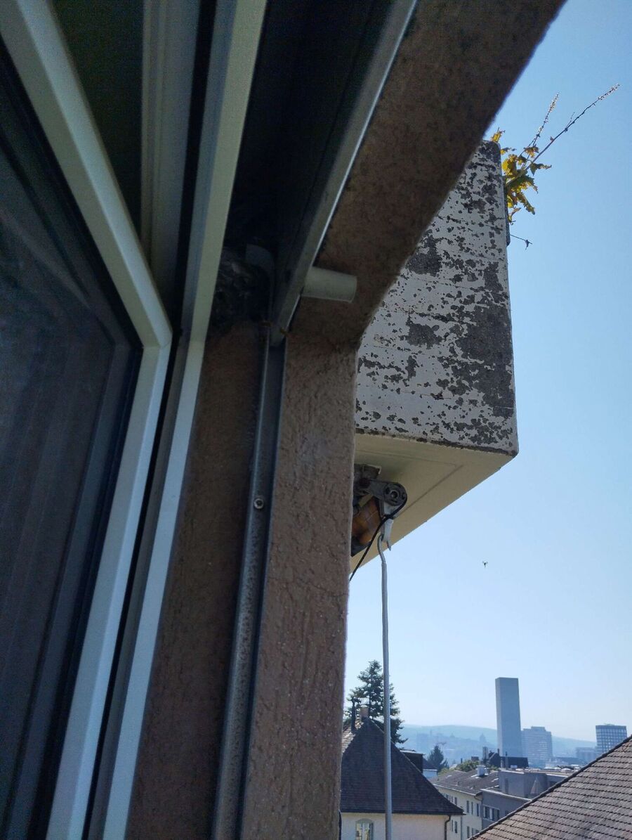 Bee nest at the house remove