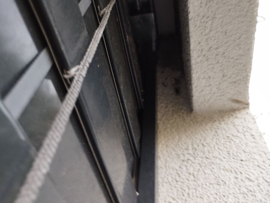 Relocate bees & remove bee nest