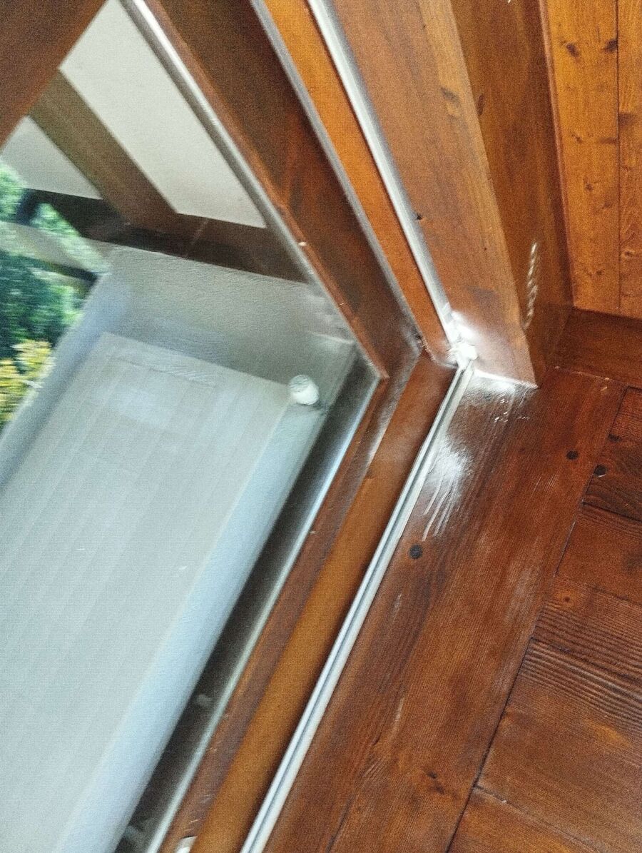 Relocate bees & remove bee nest