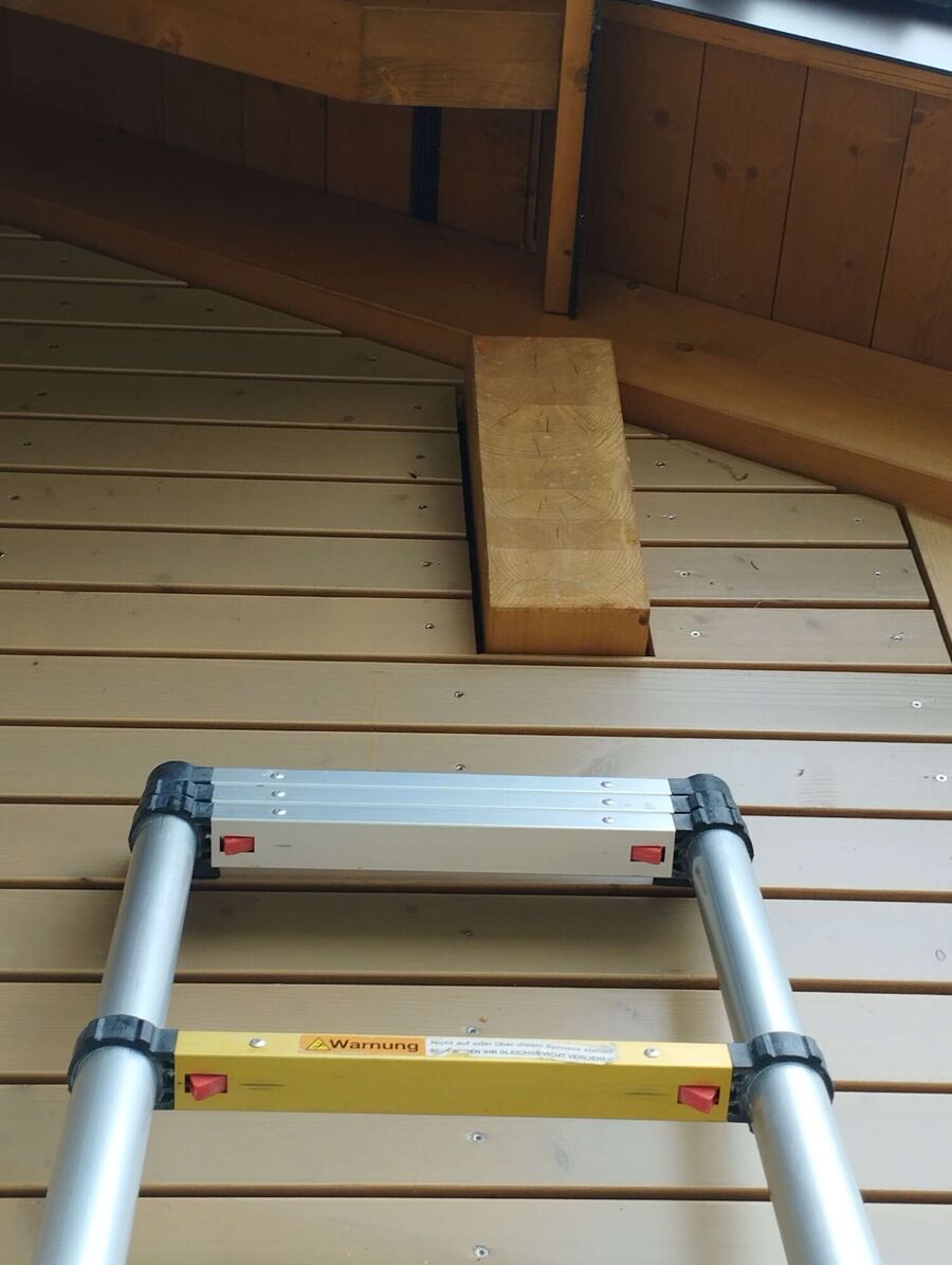 Bee nest at the house remove