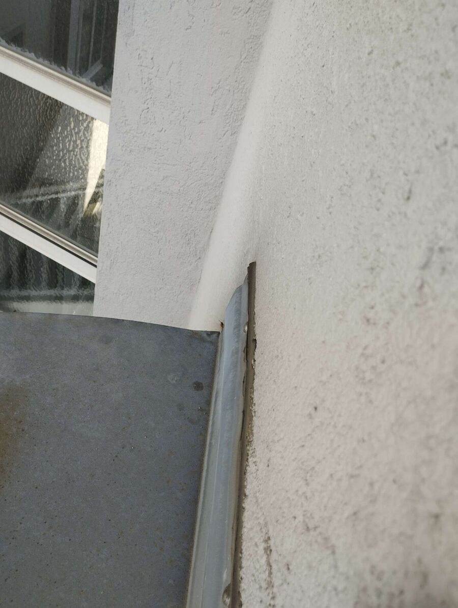 Relocate bees & remove bee nest