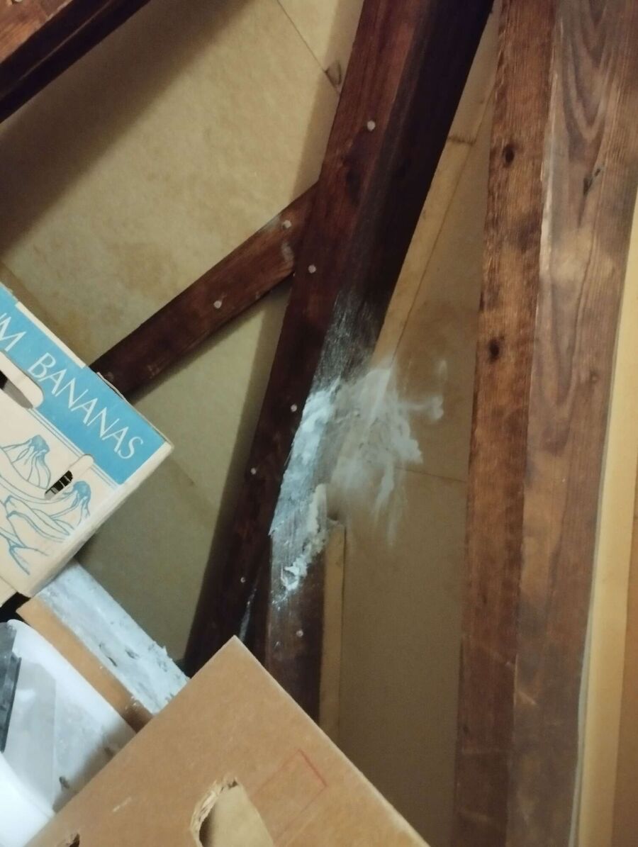 Bee nest at the house remove